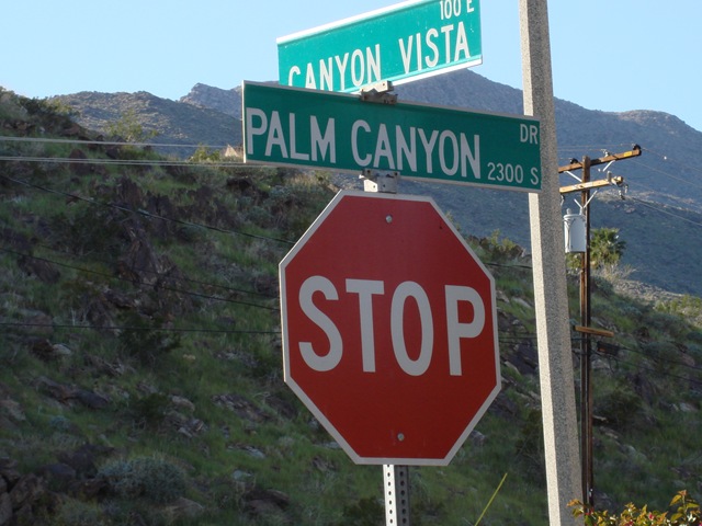 [Palm Springs 3 120[2].jpg]
