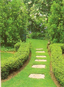 [veranda23[26].jpg]