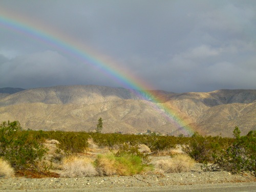 [PalmSpringsDec20100098.jpg]