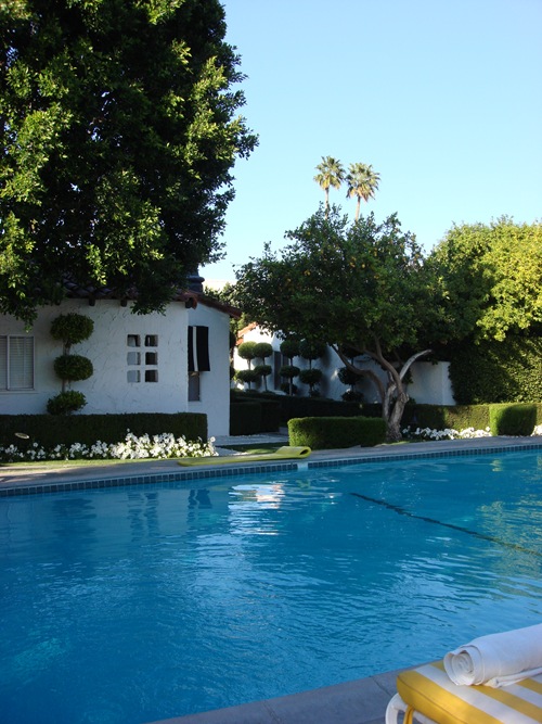 Palm Springs Natural Hot Mineral Pool Palm Springs Natural Hot Mineral Pool