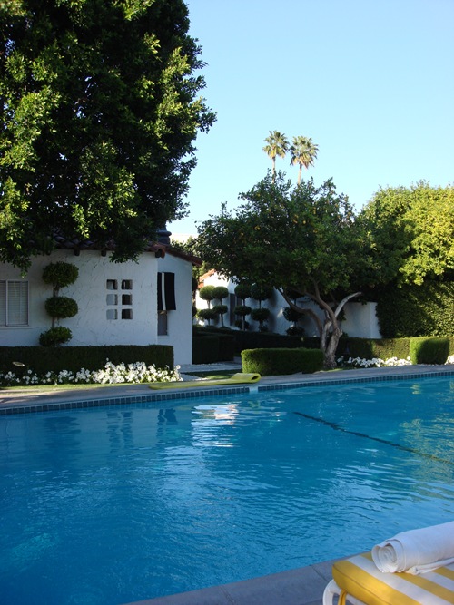 Palm Springs Natural Hot Mineral Pool