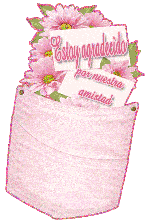 gracias por tu amistad (7)