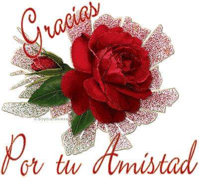 gracias por tu amistad (8)