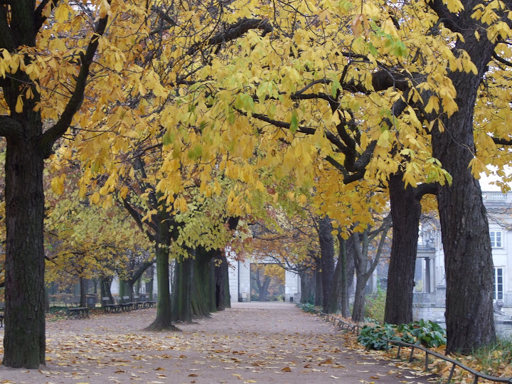 Jesień%20idzie%20przez%20park%202007%20010.jpg