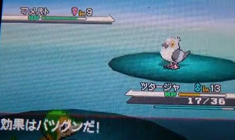 ポケモン ブラック ホワイト たかのゲーム情報局