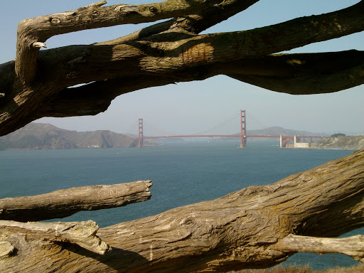 http://lh4.ggpht.com/_yrwLl91WXvc/Sn90JZZnKMI/AAAAAAAAcNs/2J-xv_Ea_uc/IMGP6507.JPG