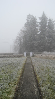 Frosty morning in Ireland