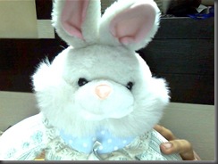 Snapshot_20090410_1