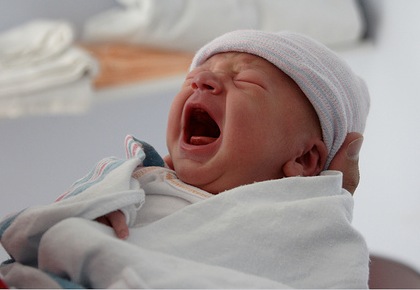 [baby[3].jpg]