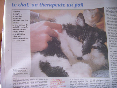 新聞