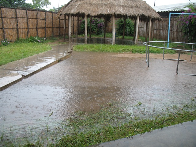 [March20100033.jpg]