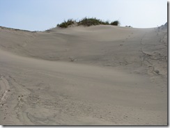 5072 Sand Dunes South Padre Island Texas