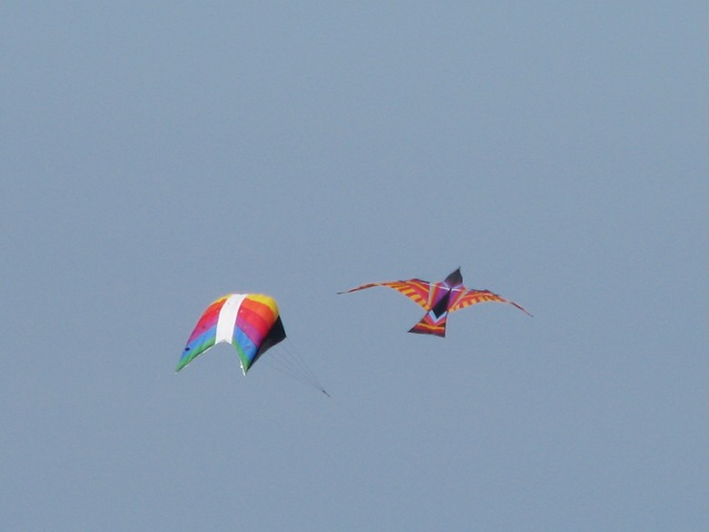 [5608 Kites South Padre Island Texas[2].jpg]