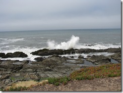 3168 Bean Hollow State Beach CA 3168 Bean Hollow State Beach CA