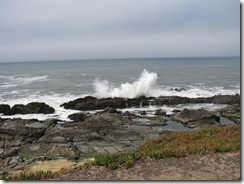 3168 Bean Hollow State Beach CA