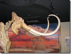 2854 Inside Nevada State Museum Carson City NV