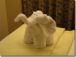 4819 Towel Elephant MS Westerdam