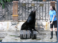 9779 Sea Lion Show West Edmonton Mall AB