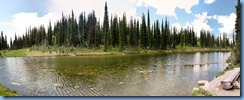 0600 Balsam Lake Meadows in the Sky Parkway RNP BC Stitch