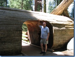 2509 Sherman Tree Trail Sequoia National Park CA