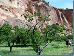 4679 Max Krueger Orchard Capitol Reef National Park UT