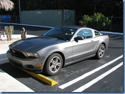 6918 Rental car Mustang 6918 Rental car Mustang