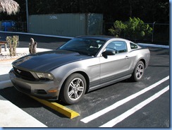 6918 Rental car Mustang