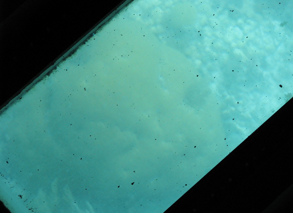 [7074 Biscayne National Park FL Glass Bottom Boat - Coral Reef[3].jpg]