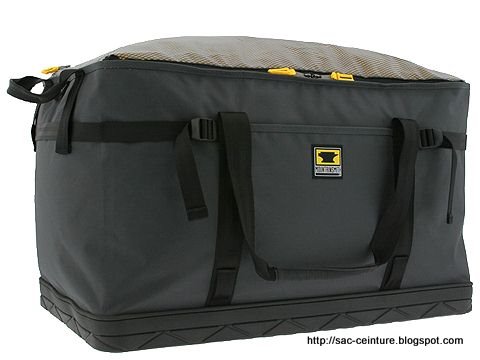 Sac ceinture:ceinture-1265194