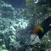 20070513-0050.jpg
