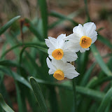 IMG_0797.JPG