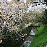 IMG_0870.JPG