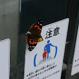 IMG_1392.JPG