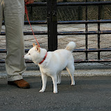 IMG_3705.JPG