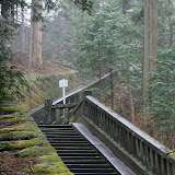 IMG_4845.jpg