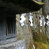 IMG_4966.JPG