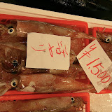 IMG_5038.JPG