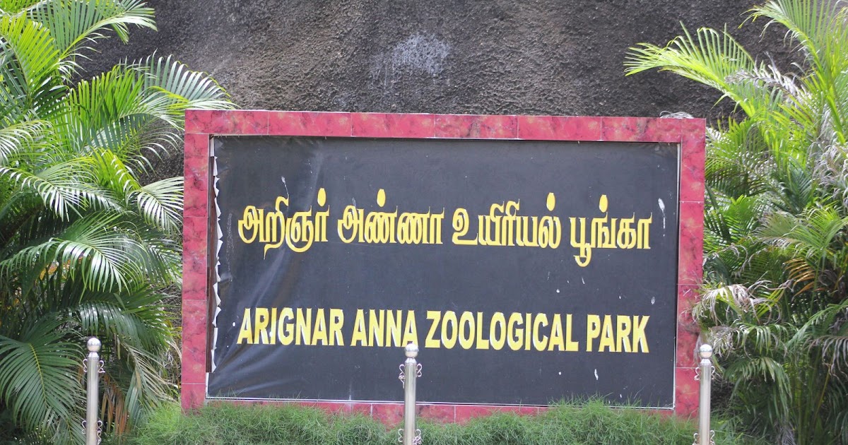 vandalur zoo mobile allowed or not