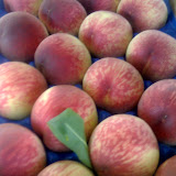 21-06-07_1542.jpg