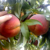 30-08-06_0722.jpg