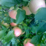 18-10-06_1617.jpg