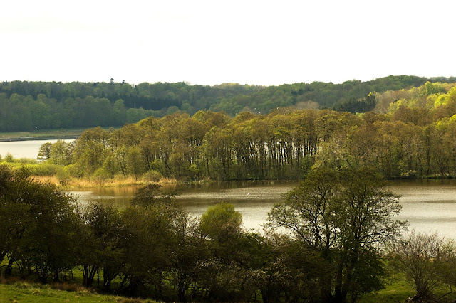 Vestenden af Haderslev Dam