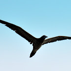 DSC_0761.JPG
