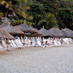 DSC_0823.JPG