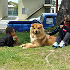 DSC_0894.JPG