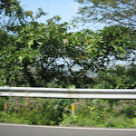IMG_0012.JPG