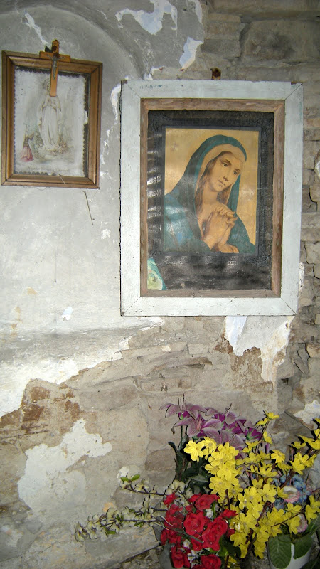 http://lh4.ggpht.com/_z3LwyfAOS40/SnWzVRvdzPI/AAAAAAAAGf8/tqFS4Y4fQaU/s800/DSCN0957.JPG