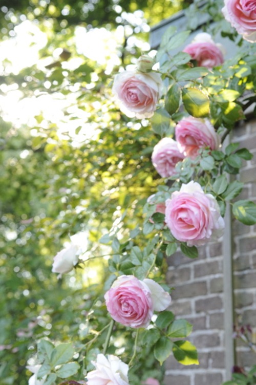 Claus_20100616_164034