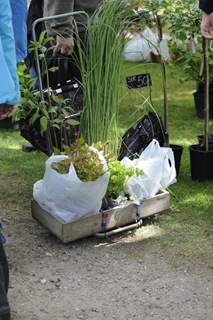 20090605_095841