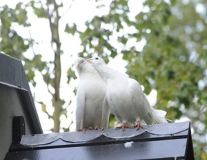 Claus20100904_152617